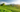 台灣茶葉產地大解密：從凍頂烏龍到東方美人，好茶也能做成茶包